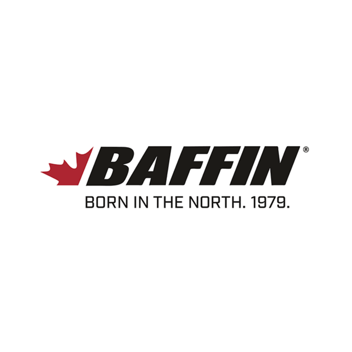 6Baffin